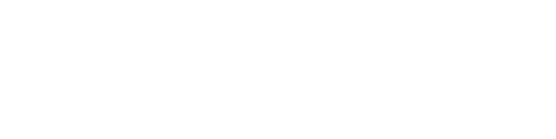 ANIVA（アニバ）